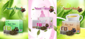 Longrich NutriVRich Brown Tea/ Green Tea / Pink tea - 3 Boxes