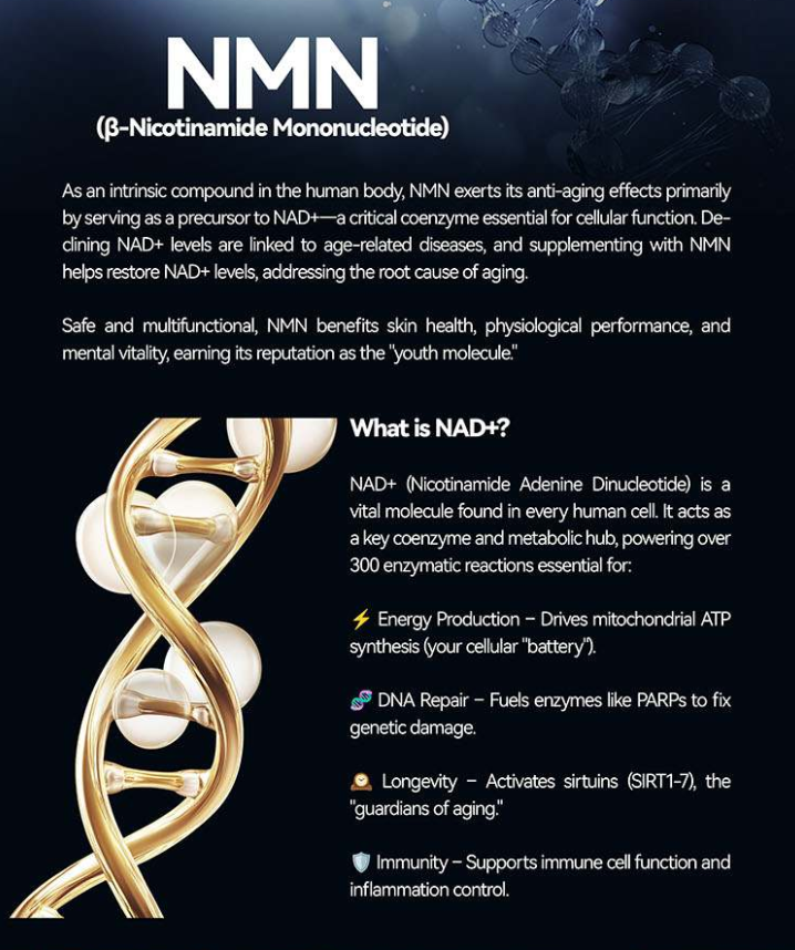 Longrich NMN (B-Nicotinamide Mononucleotide) with CoQ10 & PQQ - 1 bottle